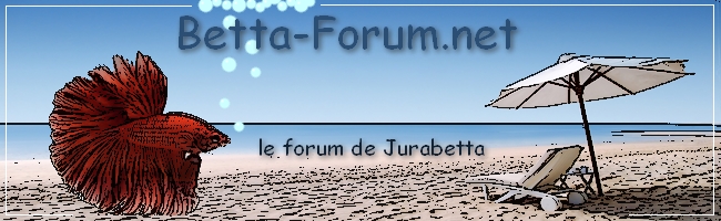 Betta-Forum Jurabetta
