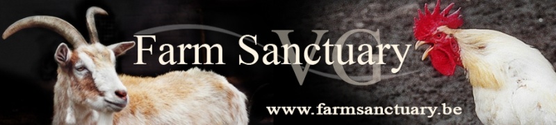 Waremme / Farm Sanctuary - 2 septembre - Porte ouverte Bannie10
