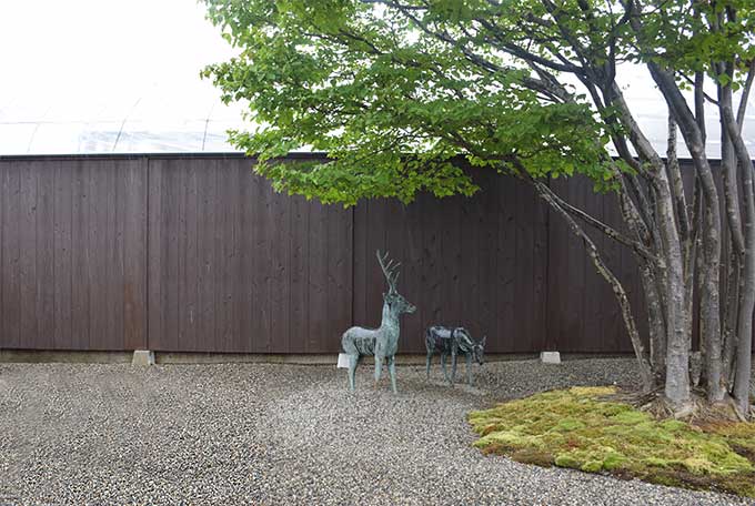 Le Jardin de maître Shinji Suzuki. 1011