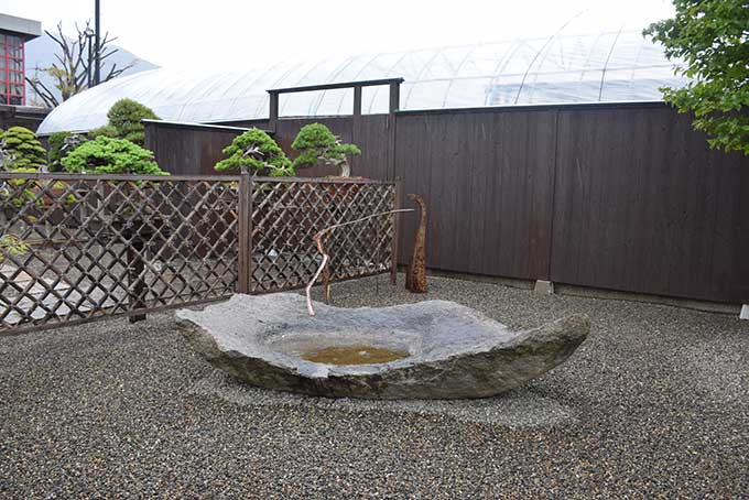 Le Jardin de maître Shinji Suzuki. 1111