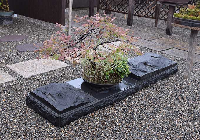 Le Jardin de maître Shinji Suzuki. 1411
