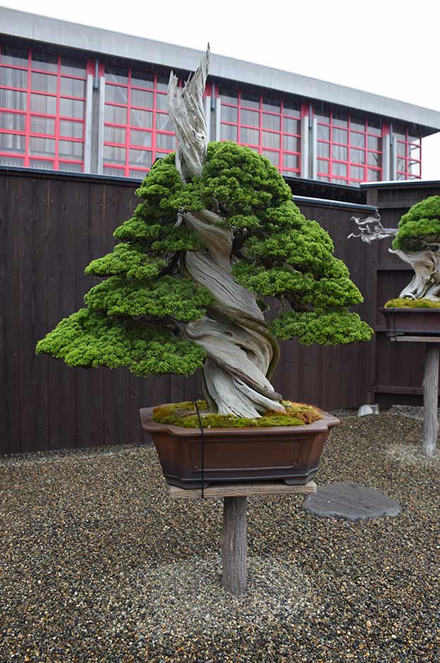 Le Jardin de maître Shinji Suzuki. 2012