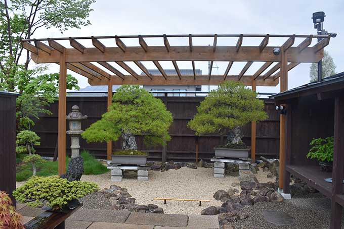 Le Jardin de maître Shinji Suzuki. 414