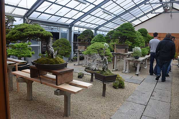Le Jardin de maître Shinji Suzuki. 4910