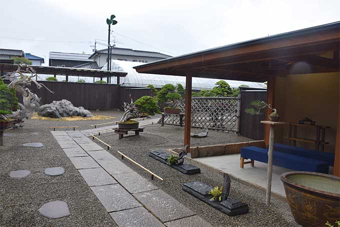 Le Jardin de maître Shinji Suzuki. 612