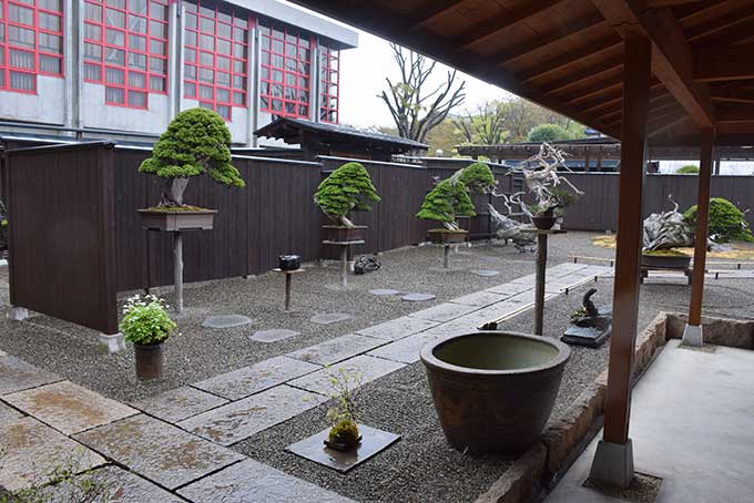 Le Jardin de maître Shinji Suzuki. 813