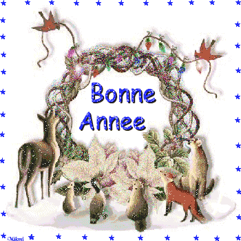 BONNE ANNEE - Page 2 57mzs410