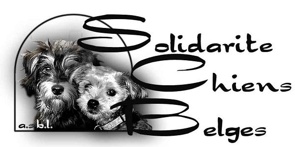 solidarit chiens belges Logo11