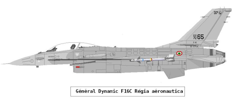profils Mirage 2000, F1, III, etc... - Page 2 F16-it10