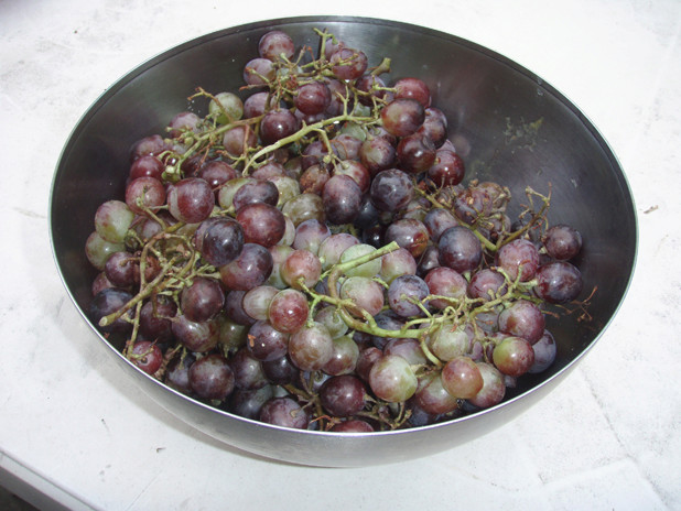 Quid de mon pommier ? Raisin10
