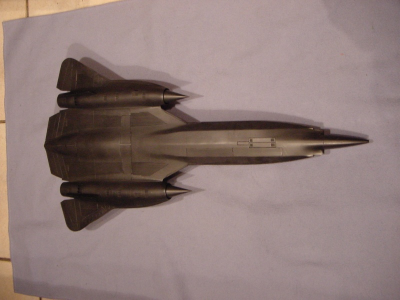 [Italeri] 1/48 - Lockheed YF-12 "The Thing"   (yf12) Dsc03527