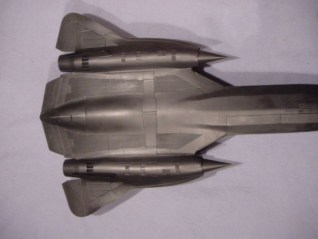 [Italeri] 1/48 - Lockheed YF-12 "The Thing"   (yf12) Dsc03528