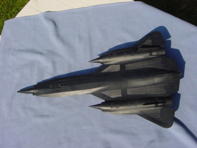 [Italeri] 1/48 - Lockheed YF-12 "The Thing"   (yf12) - Page 2 Dsc03613