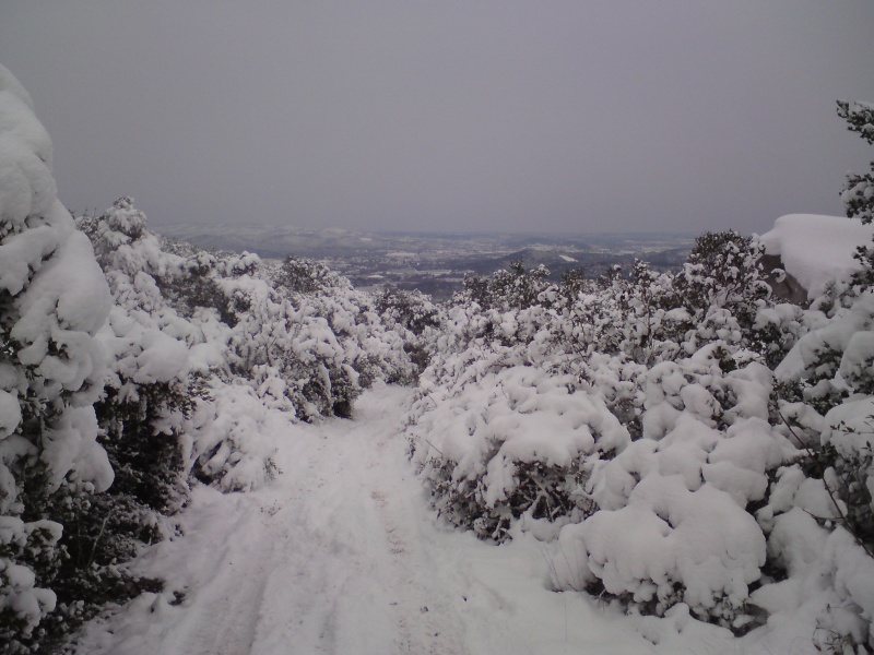 Il neige !!! a vos photos : Dsc06211