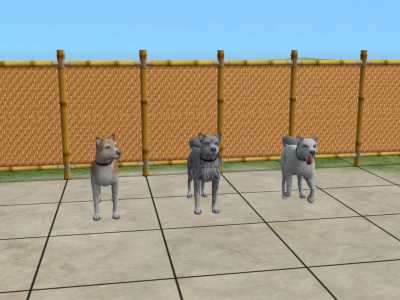 Sims2 "Animaux et Compagnie" Snapsh11