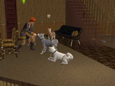 Sims2 "Animaux et Compagnie" Snapsh12