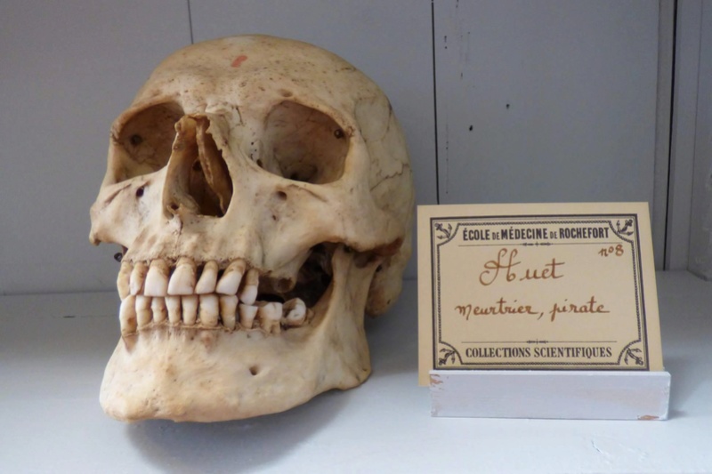 Crâne de Jacques HUET pirate Pirate10