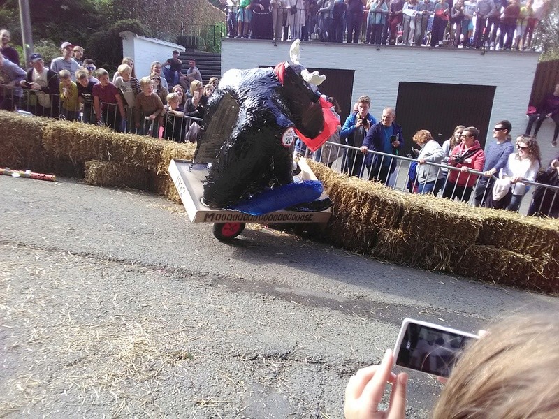 Red Bull - Caisses à savon - Mont de l'Enclus 2017 Img_2406