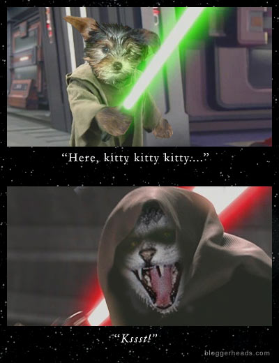 Des photos & vidéos pour rire ! ambiance STAR WARS - Page 13 Kitty_10