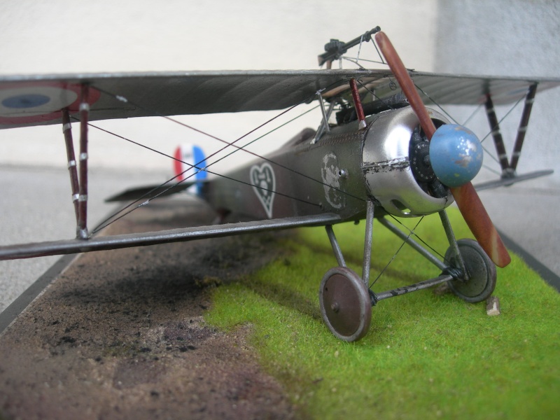 Nieuport 17 de Nungesser (Eduard) Dscn2114