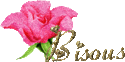 UN AUTRE PETIT TRUC Bisous10