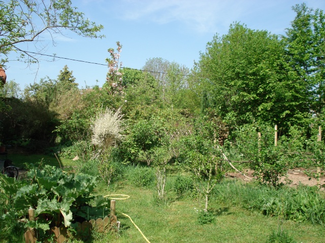 le jardin de Giroflee Jardin36