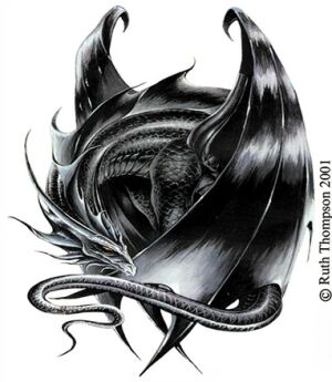 Dragons Noirs Dragon66