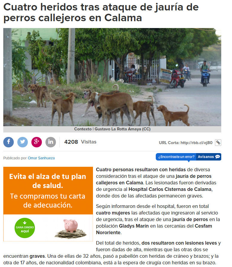 BRUTAL MATANZA DE CIERVOS POR PERROS - PURRANQUE CHILE Calama10