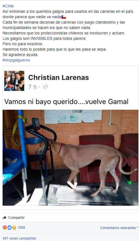 Animalistas argentinos quieren extender  prohibición a Chile Larena11
