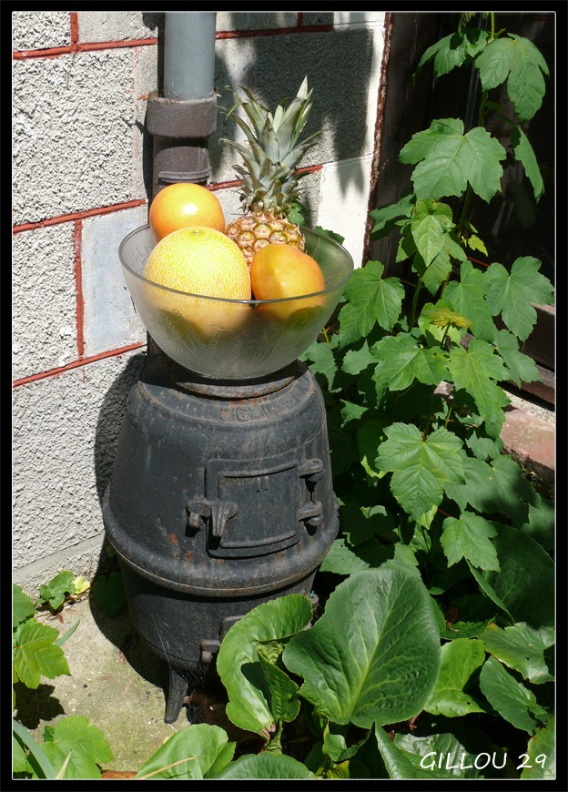 Une Photo peut en cacher une Autre (Nouvelle version) - Page 3 Fruits10