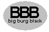 Quelle Alternative au Big Burgman 650 ? Bbblac11