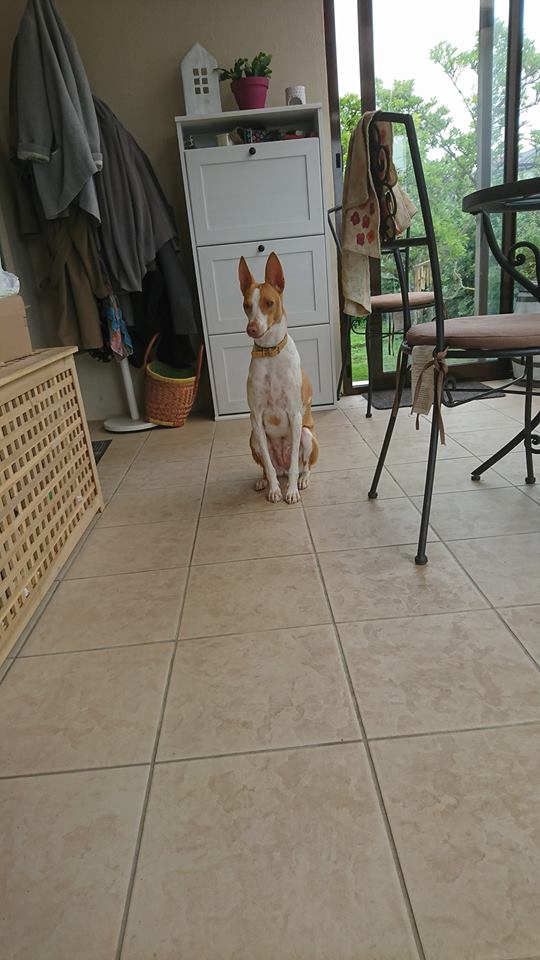 Annicka petite pod tendresse Adoptée - Page 2 Annick12