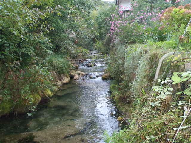 Ruisseau calcaire P9100011