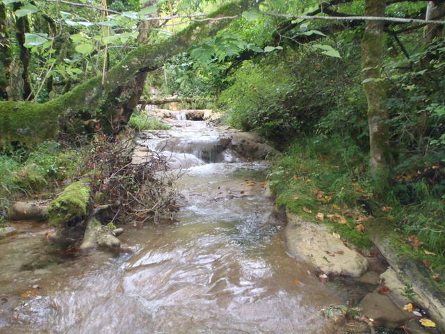 Ruisseau calcaire P9100013