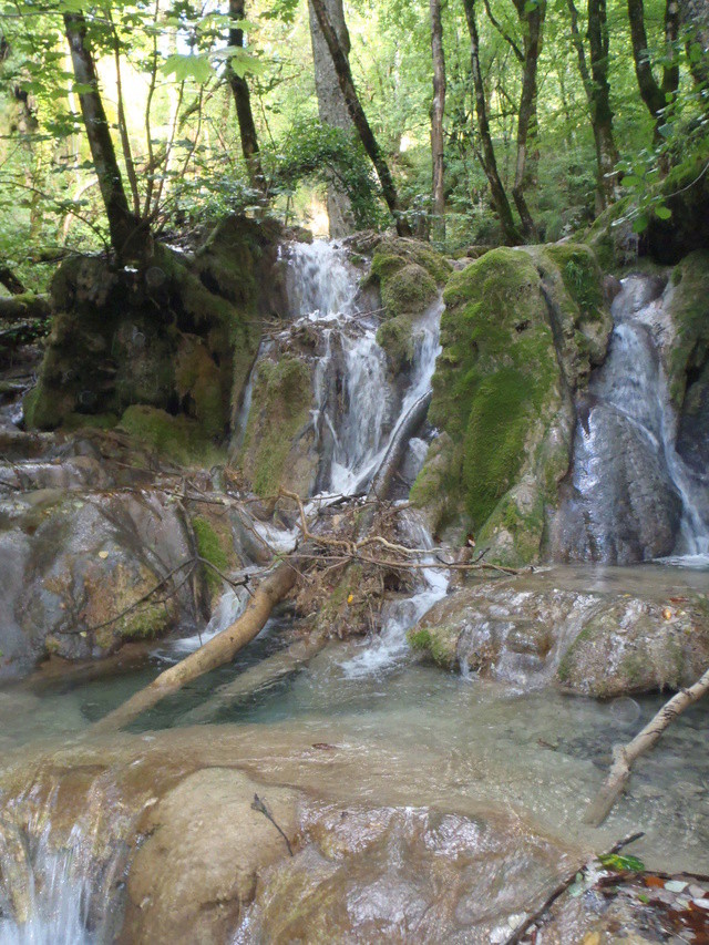 Ruisseau calcaire P9100037