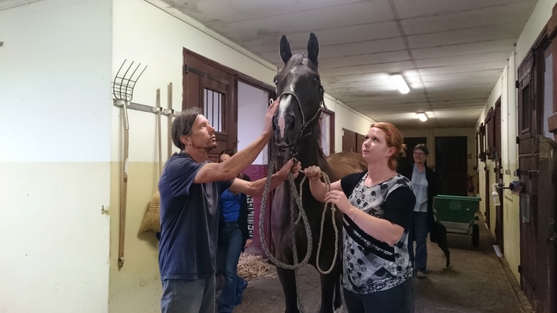 UTOPIE - ONCS née en 1990 - adoptée en juillet 2017 par Delphine et Daniel - DCD le 20.08.2019 Dsc_6210