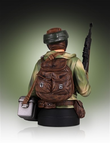 Gentle Giant - Star Wars Endor Trooper Mini Bust 02132