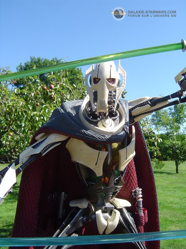 Attakus - General Grievous Statue (2006) Dsc03417