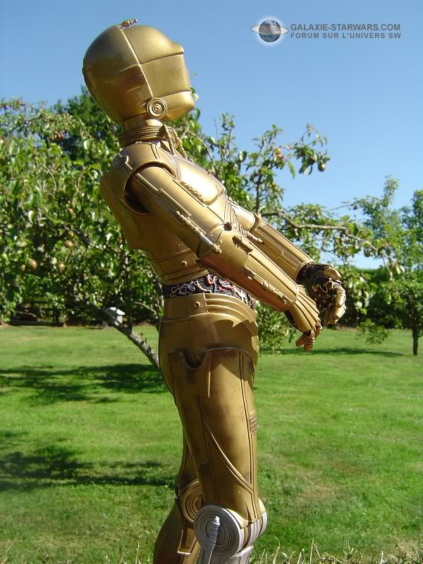Attakus - C-3PO Statue (2003) Dsc03424