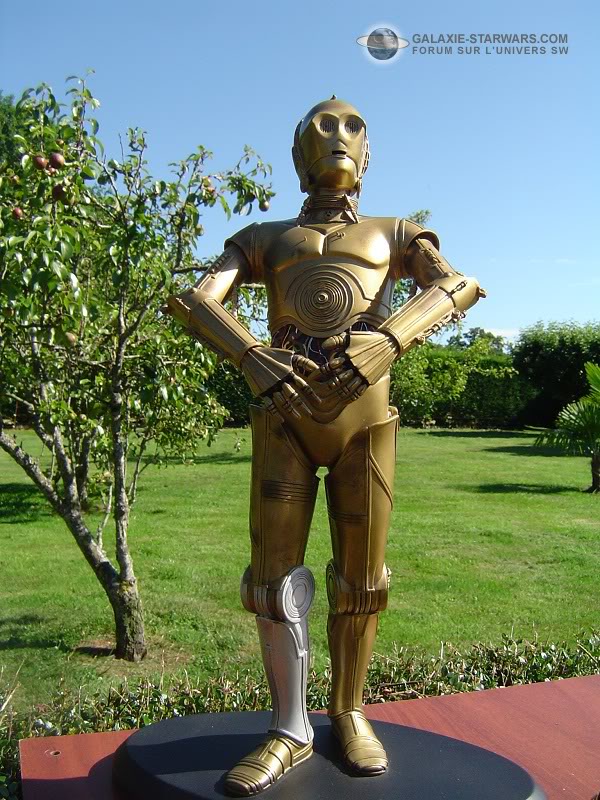 Attakus - C-3PO Statue (2003) Dsc03425