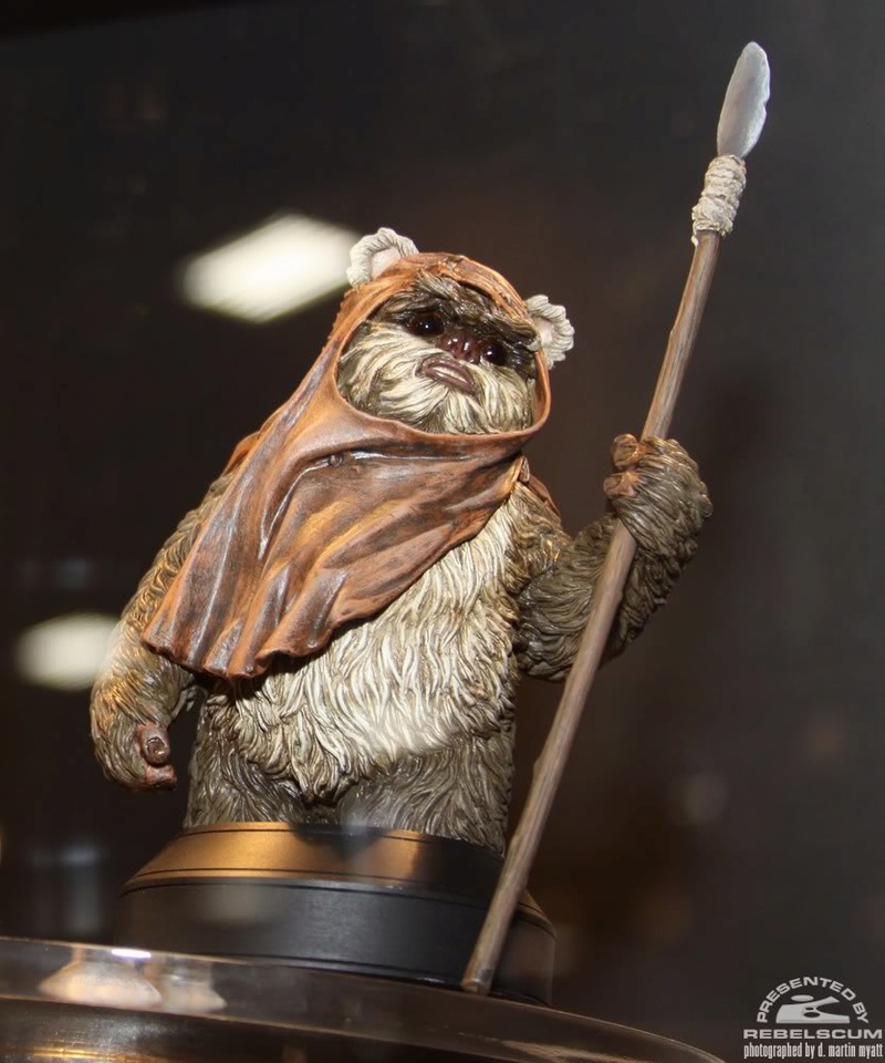 Gentle Giant - Wicket Mini Bust - Page 2 Img_9712