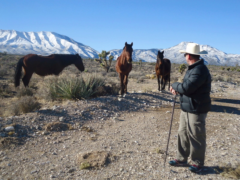 Cherche passionné western et guerre de sécession  Dsc03012