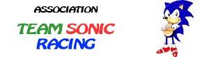 Team Sonic Racing Sonicm11