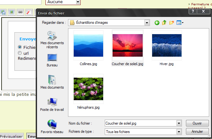 Tutoriel 3: Mettre des images dans un message Tuto3_11