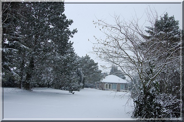 Neige, neige...Nouvelles photos PAGE 5 (pas 6 :p) Neige111