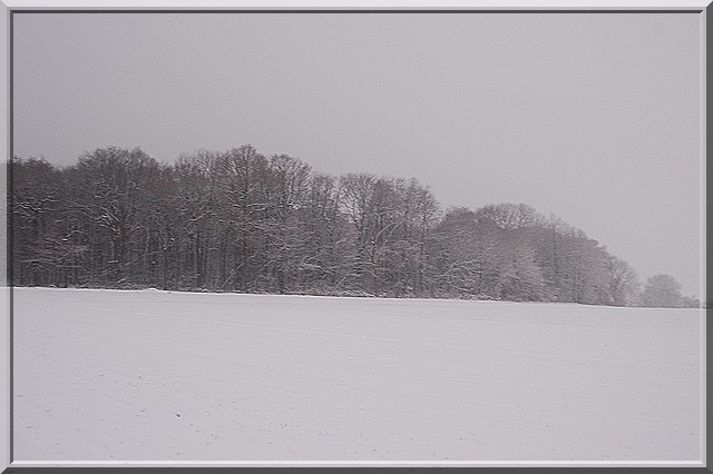 Neige, neige...Nouvelles photos PAGE 5 (pas 6 :p) - Page 2 Neige319