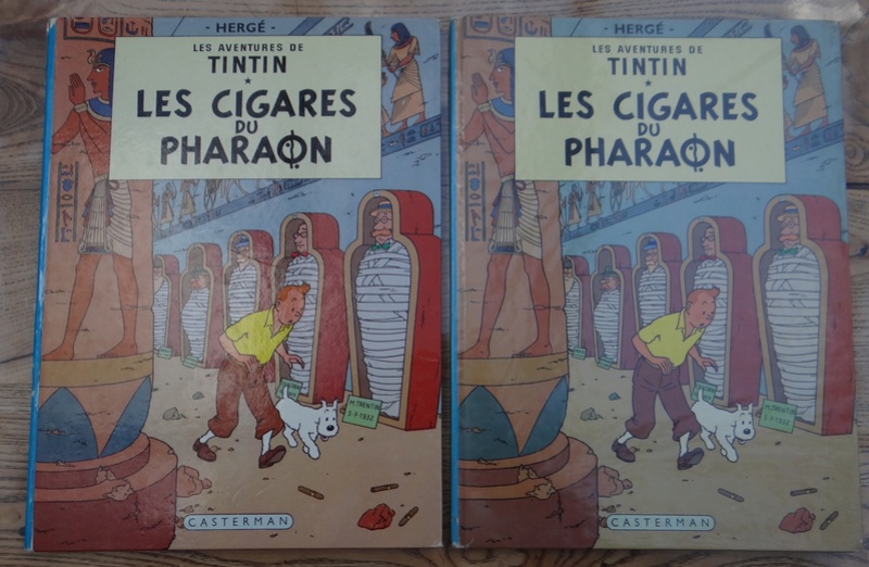 La grande histoire des aventures de Tintin. - Page 35 Dsc03430