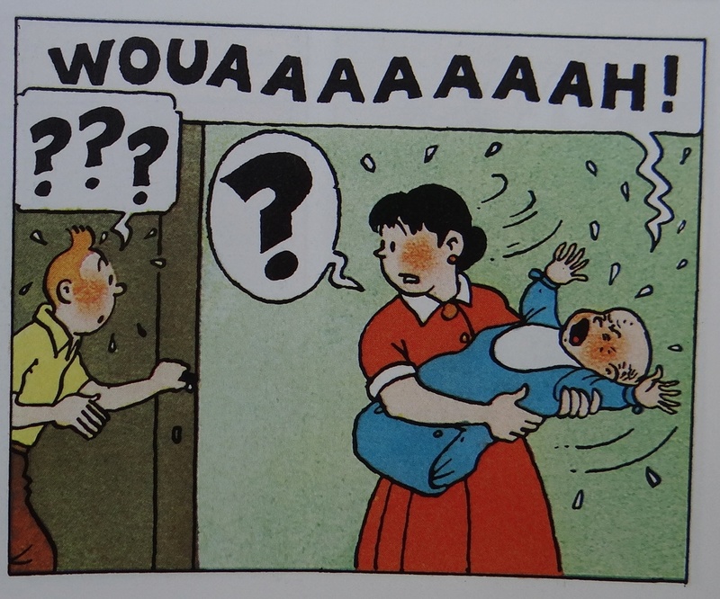 La grande histoire des aventures de Tintin. - Page 35 Dsc03445