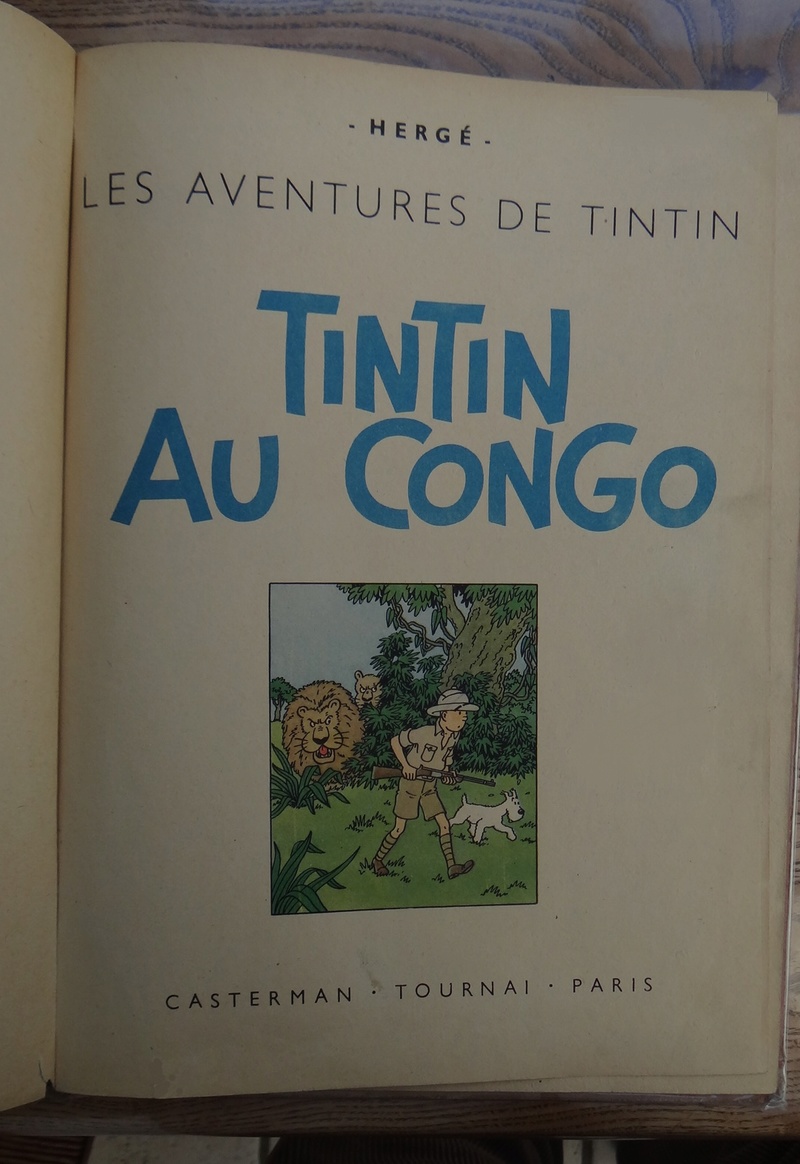 La grande histoire des aventures de Tintin. - Page 36 Dsc03511