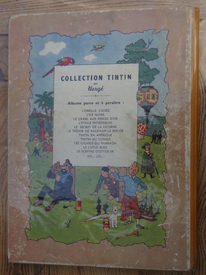 La grande histoire des aventures de Tintin. - Page 36 Dsc03512
